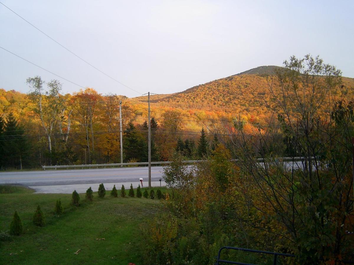 Green Mountain Cabins Киллингтон Экстерьер фото