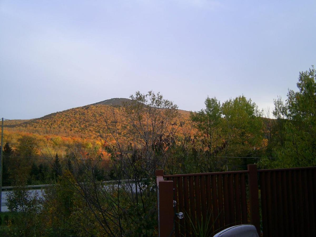 Green Mountain Cabins Киллингтон Экстерьер фото